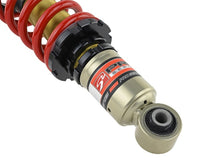 Load image into Gallery viewer, Skunk2 02-04 Acura RSX (All Models) Pro S II Coilovers (10K/10K Spring Rates)