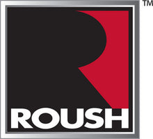 Cargar imagen en el visor de la galería, Roush 2005-2010 Ford Mustang 4.6L V8 Stage 2 Suspension Kit