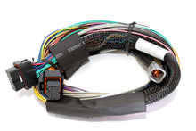 Cargar imagen en el visor de la galería, Haltech Elite 1500 8ft Basic Universal Wire-In Harness (Excl Relays or Fuses)
