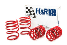 Cargar imagen en el visor de la galería, H&amp;R 01-06 BMW 325Ci Cabrio/330Ci Cabrio E46 Race Spring (w/Sport Suspension)