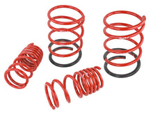 Cargar imagen en el visor de la galería, Skunk2 02-05 Honda Civic Si Hatchback Lowering Springs (2.25in - 2.00in.) (Set of 4)