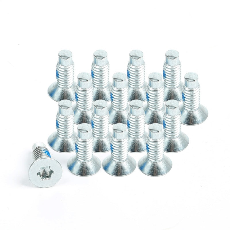 Omix Windshield Hinge Screw Set 16 76-95 CJ YJ